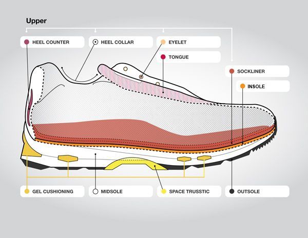 anatomy of top running shoes